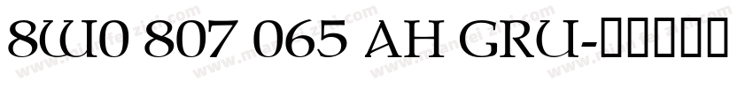 8W0 807 065 AH GRU字体转换